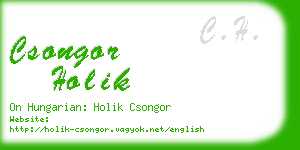 csongor holik business card